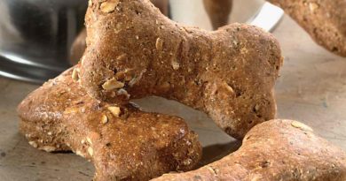 Biscotti per cani fatti in casa Biscotti per cani fatti in casa